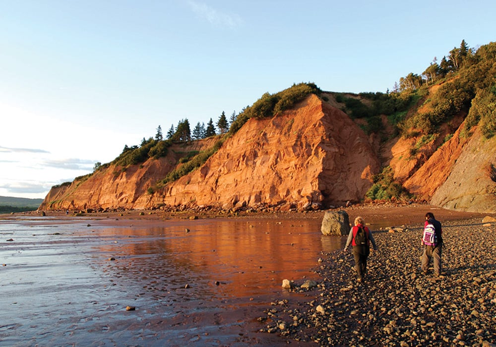 An image rendering of two people walking the Bay of Fundy.