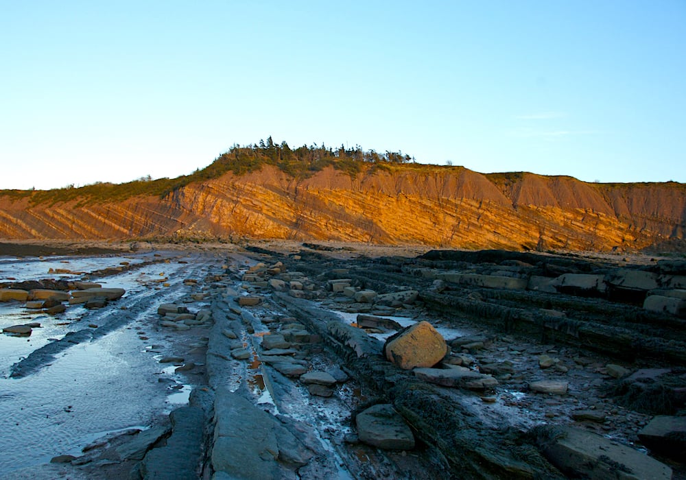 joggins-fossil-cliffs
