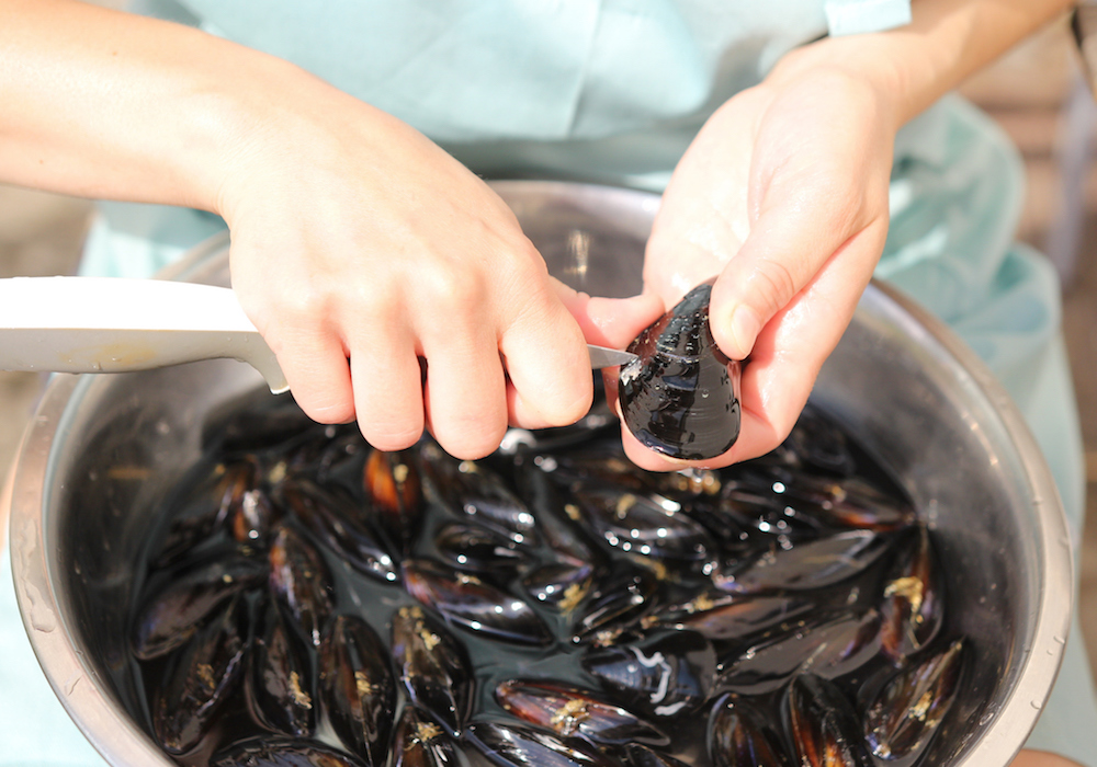 chef cleaning mussels