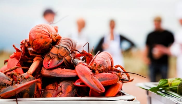 How to Crack a Lobster and Other Maritime Must Knows