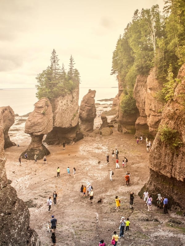 Experience the Bay of Fundy