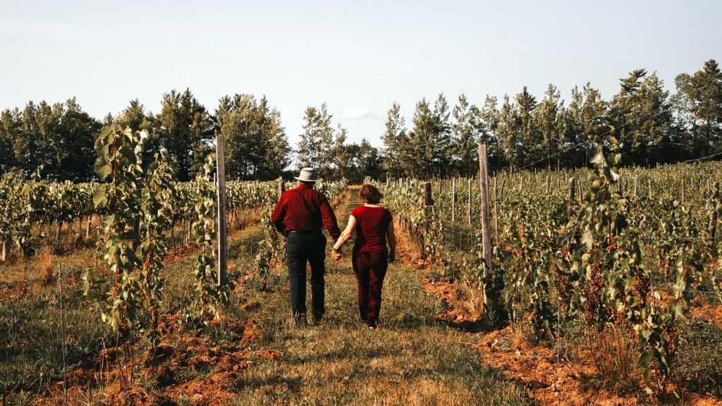 Wineries in the Maritimes 3
