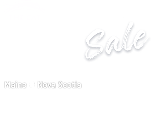 Black Friday/Cyber Monday Sale - Save 50%* on All Fares