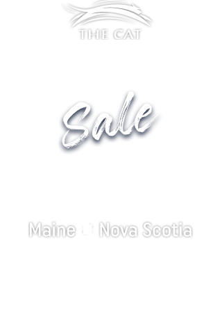 Black Friday/Cyber Monday Sale - Save 50%* on All Fares
