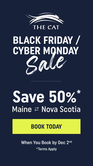 Black Friday/Cyber Monday - Save 50%* on All Fares