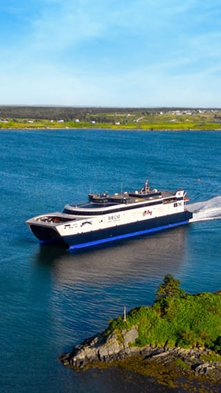 Black Friday/Cyber Monday - Save 50%* on All Fares