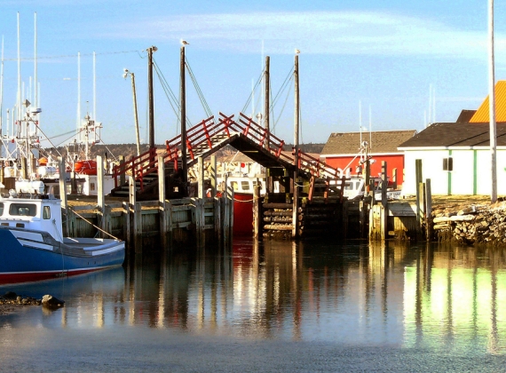 Wedgeport Tuna Tournament