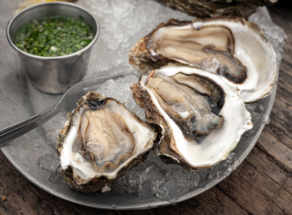 A dish of oysters 