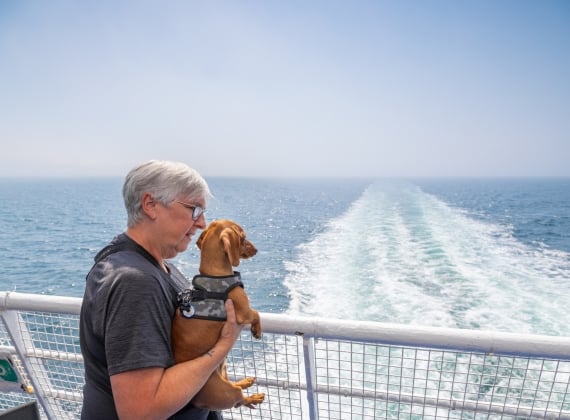 MV Fundy Rose Open Deck Pet Area