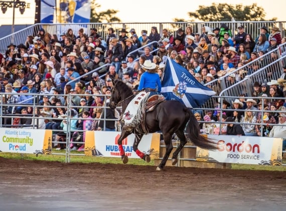 Woman riding horse at the NS Stampede