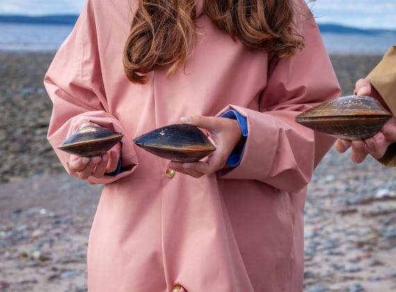 Location: Baie Sainte-Marie, Yarmouth and Acadian Shores  Credit: Tourism Nova Scotia / Photographer: Sue Thompson (@reachinghappy)