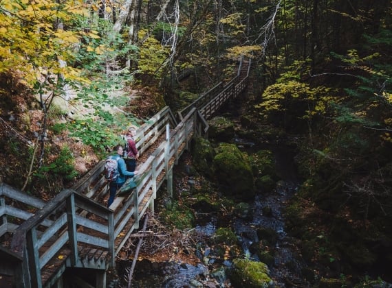 A couple walking on a wooden staircase in the forest, sun shining down on them through the colourful leaves.
