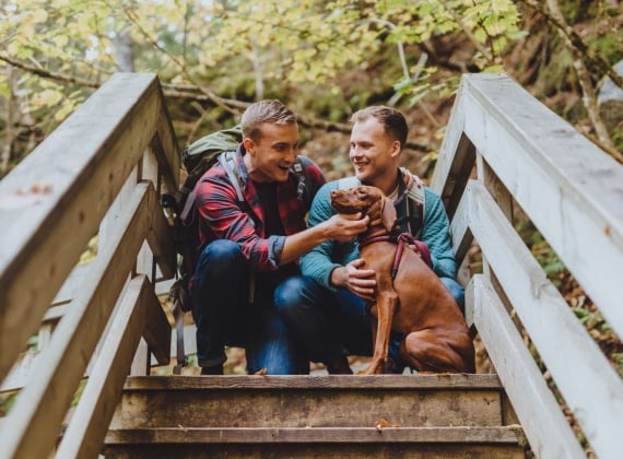 dog and hikers at Fundy National Park