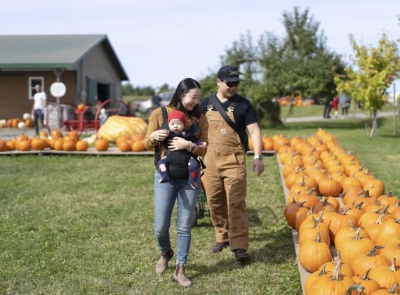 Family pumpkin picking