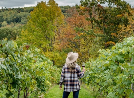 Woman wearing a plaid shirt and sunhat, holding a glass of wine in a vineyard with colourful fall trees in the background.