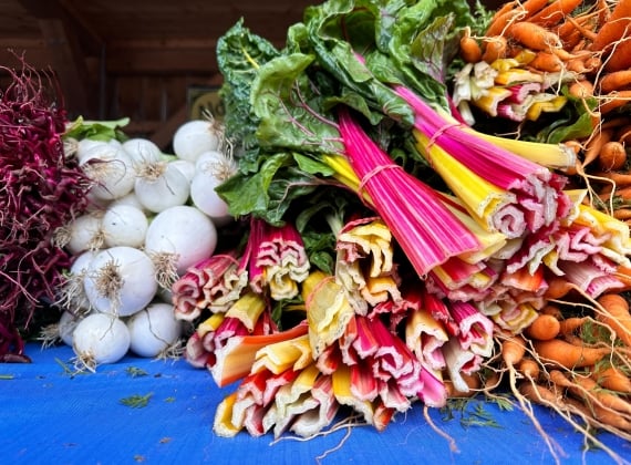 Vegetables at the New Glasgow Farmer's Market