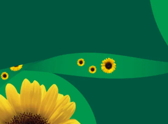 Sunflower program