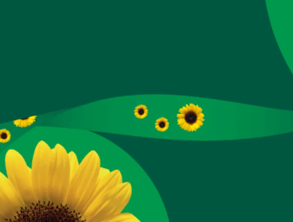 Hidden Disabilities Sunflower program