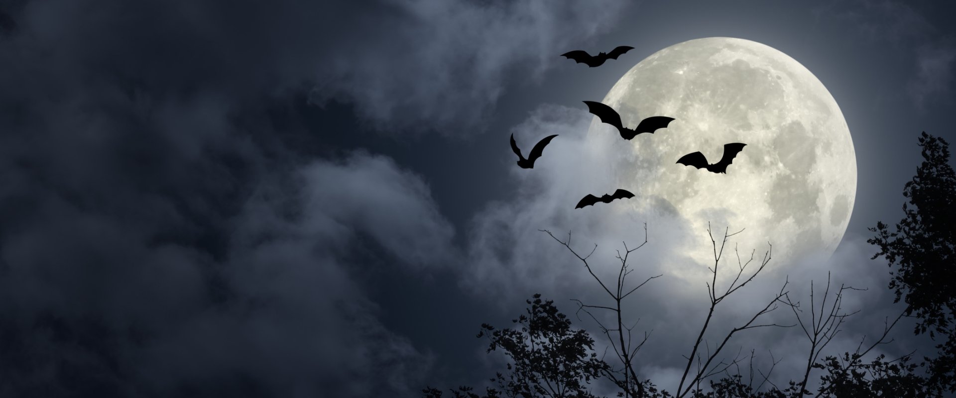 Full Moon with Bats