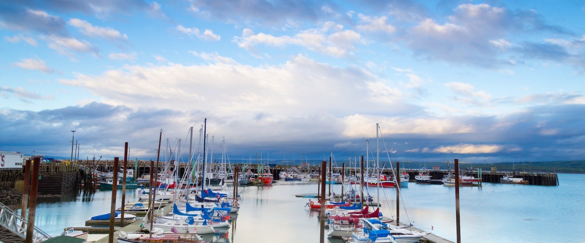 Sailboats moored in Digby Harbour