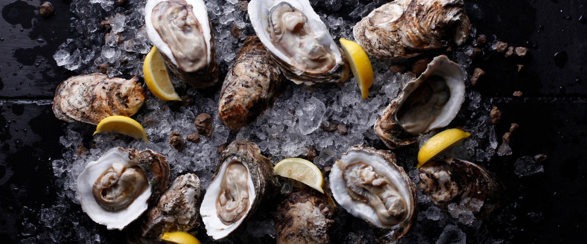 Oysters
